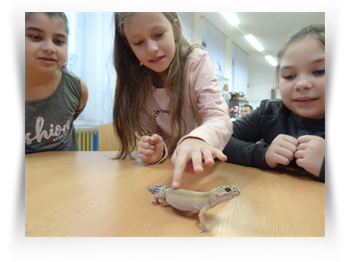 Dům dětí a mládeže Teplice – přírodovědné oddělení