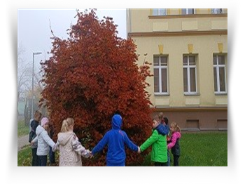 Mezinárodní den stromů